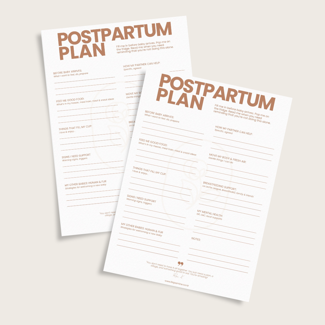 Postpartum Plan